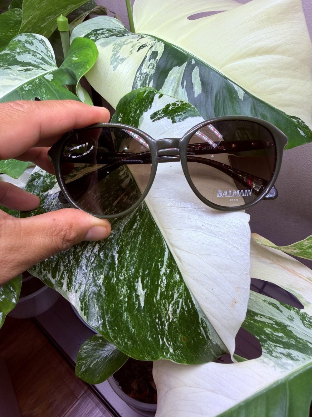 Balmain BL2022 Women's Olive UV Protection Sunglasses